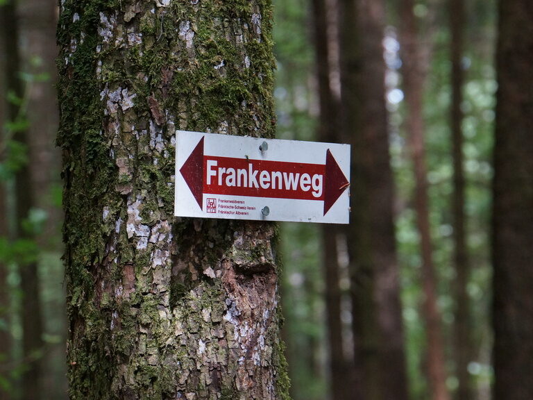 Ein rotes und weißes Schild hängt an einem Baumstamm im Frankenweg.