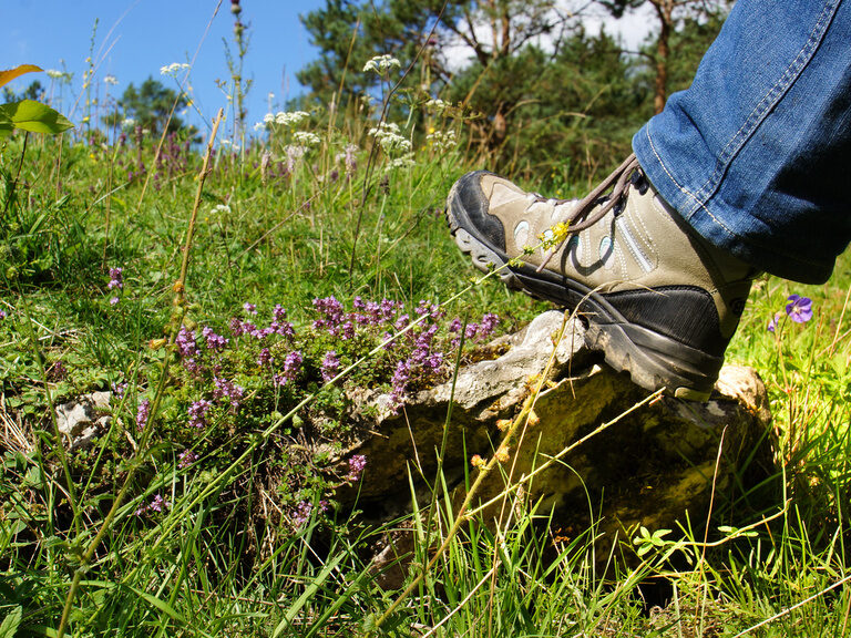 Eine Person mit Wanderschuhen wandert durch die Landschaft der Fränkischen Schweiz