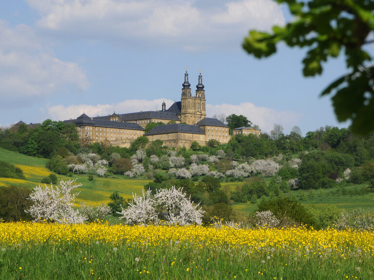Eine Wiese voller gelber Blumen breitet sich vor dem Kloster Banz in der Fränkischen Schweiz aus